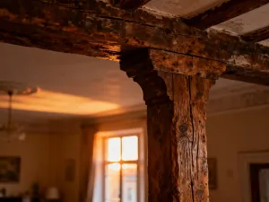 Nowoczesny dom jednorodzinny z garażem w bryle budynku, otoczony zadbanym ogrodem w słoneczne popołudnie.